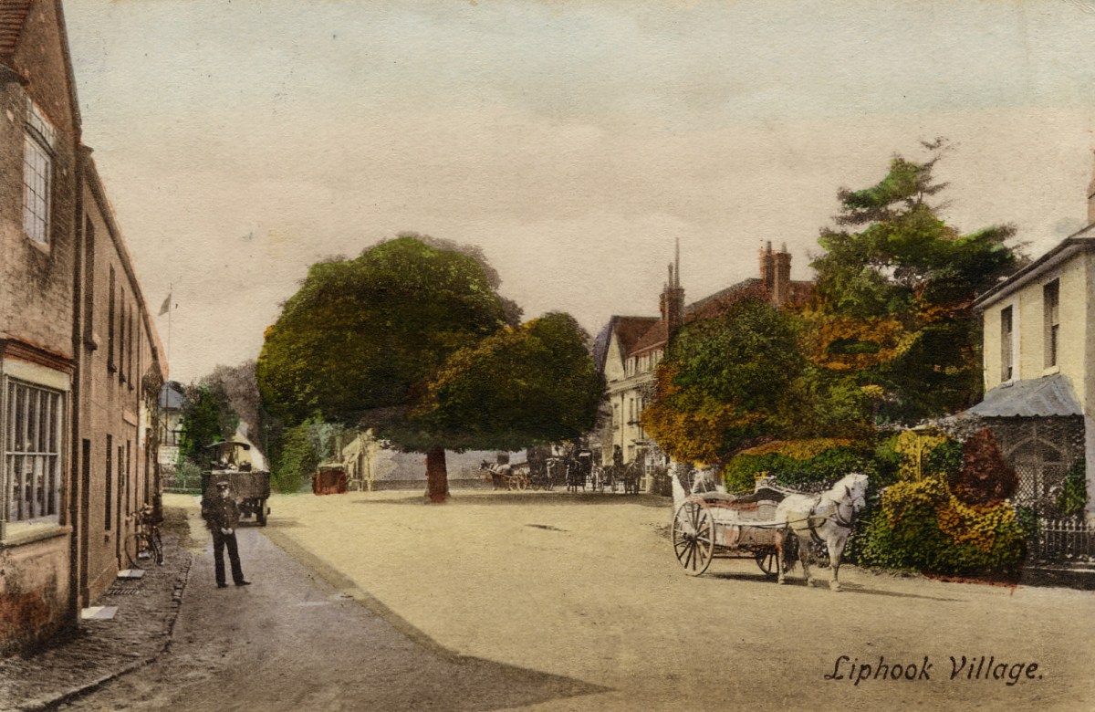 Liphook Square